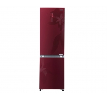 Двухкамерный холодильник LG с системой Total No Frost